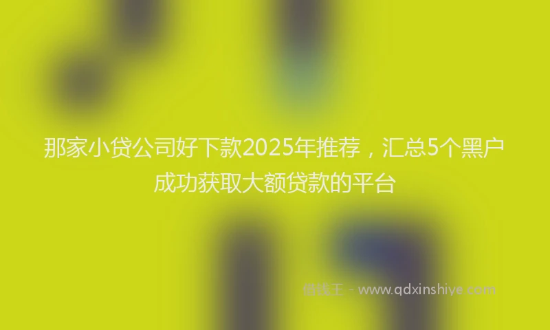 那家小贷公司好下款2025年推荐，汇总5个黑户成功获取大额贷款的平台
