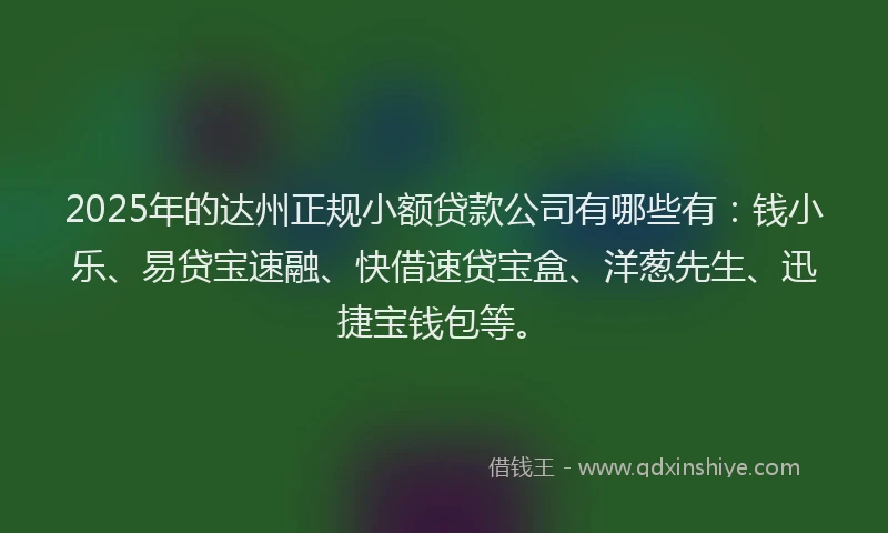 2025年的达州正规小额贷款公司有哪些有：钱小乐、易贷宝速融、快借速贷宝盒、洋葱先生、迅捷宝钱包等。