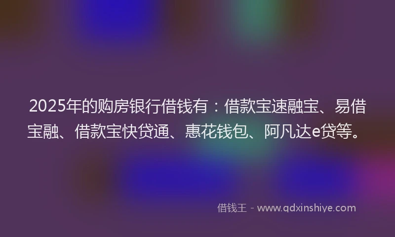 2025年的购房银行借钱有：借款宝速融宝、易借宝融、借款宝快贷通、惠花钱包、阿凡达e贷等。