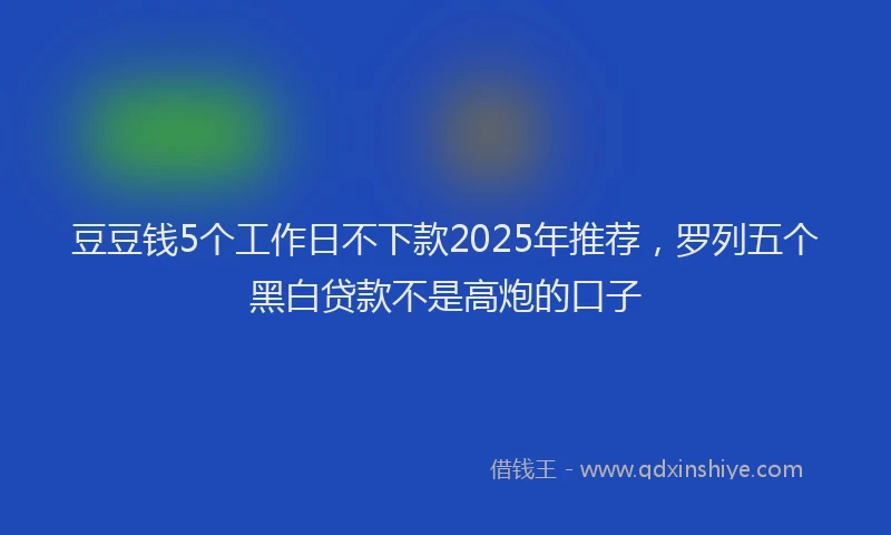 豆豆钱5个工作日不下款2025年推荐，罗列五个黑白贷款不是高炮的口子