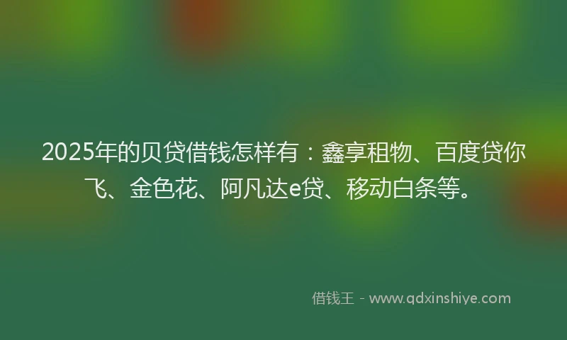2025年的贝贷借钱怎样有：鑫享租物、百度贷你飞、金色花、阿凡达e贷、移动白条等。