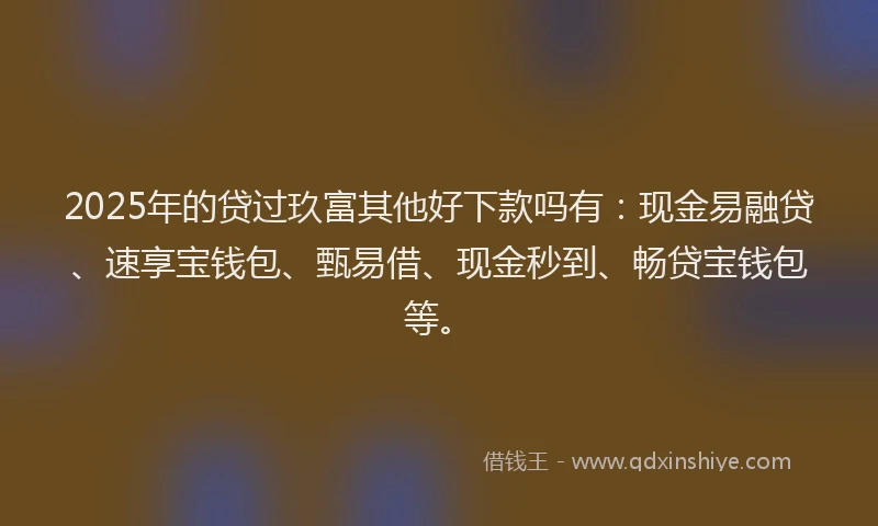 2025年的贷过玖富其他好下款吗有：现金易融贷、速享宝钱包、甄易借、现金秒到、畅贷宝钱包等。