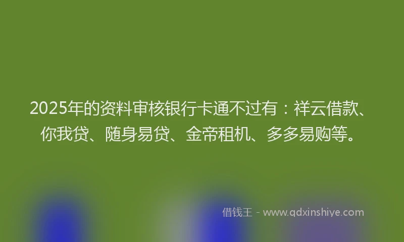 2025年的资料审核银行卡通不过有：祥云借款、你我贷、随身易贷、金帝租机、多多易购等。