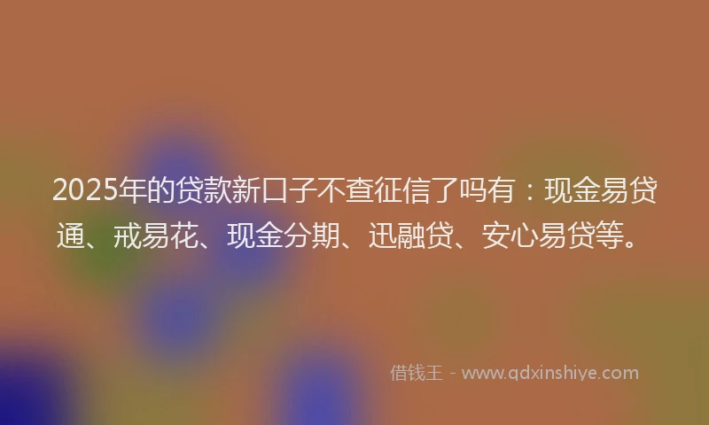 2025年的贷款新口子不查征信了吗有：现金易贷通、戒易花、现金分期、迅融贷、安心易贷等。