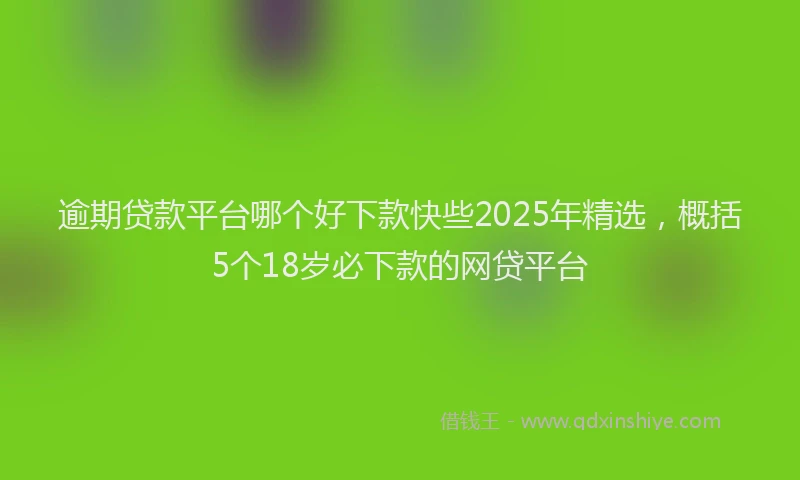 逾期贷款平台哪个好下款快些2025年精选，概括5个18岁必下款的网贷平台