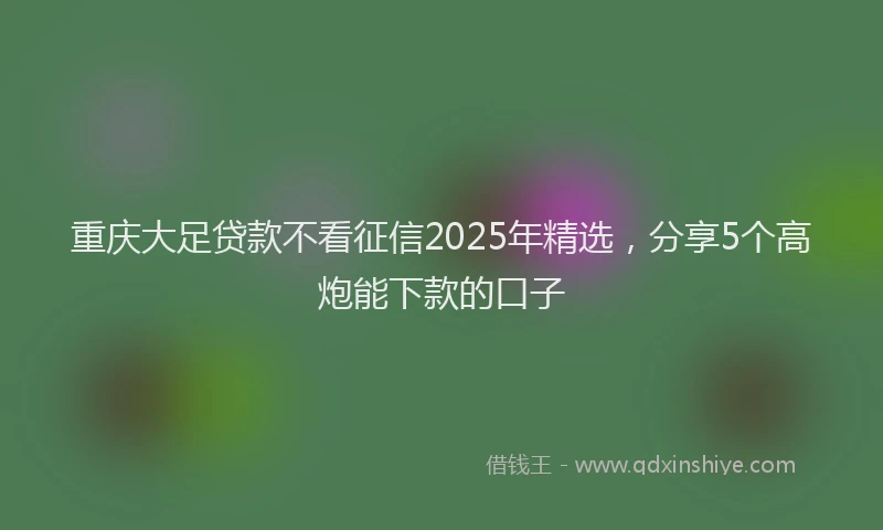 重庆大足贷款不看征信2025年精选，分享5个高炮能下款的口子