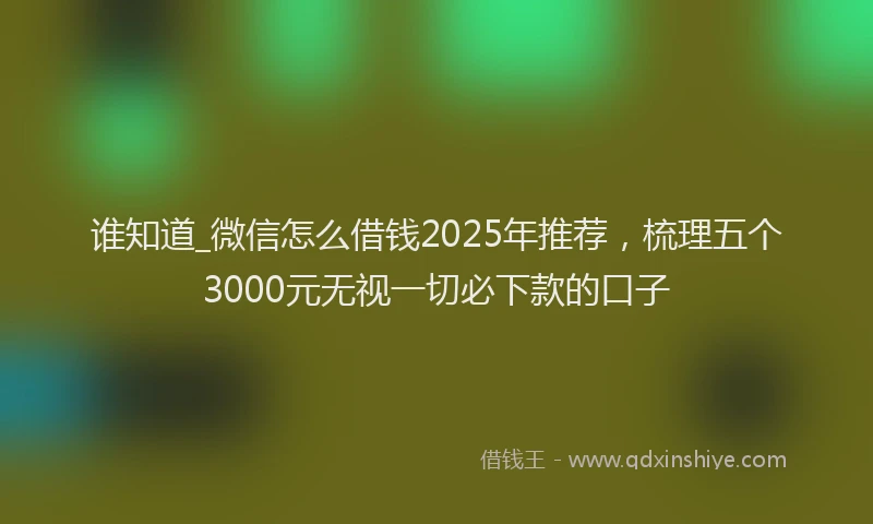 谁知道_微信怎么借钱2025年推荐，梳理五个3000元无视一切必下款的口子