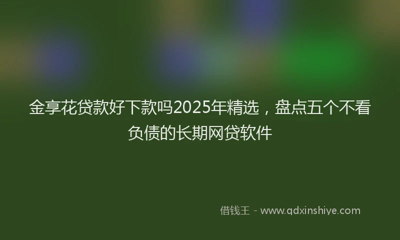 金享花贷款好下款吗2025年精选，盘点五个不看负债的长期网贷软件