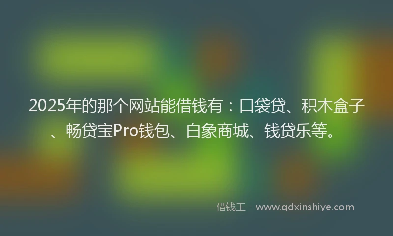 2025年的那个网站能借钱有：口袋贷、积木盒子、畅贷宝Pro钱包、白象商城、钱贷乐等。