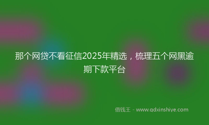 那个网贷不看征信2025年精选，梳理五个网黑逾期下款平台