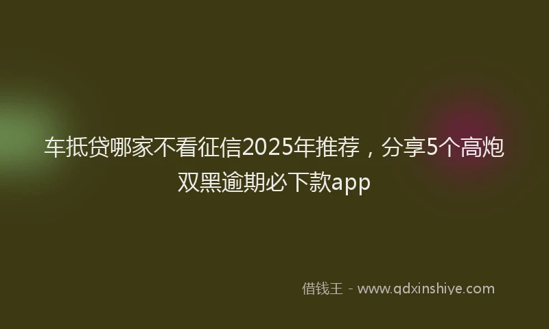 车抵贷哪家不看征信2025年推荐，分享5个高炮双黑逾期必下款app