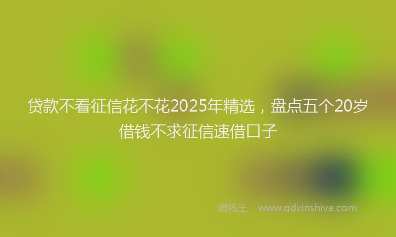 贷款不看征信花不花2025年精选，盘点五个20岁借钱不求征信速借口子