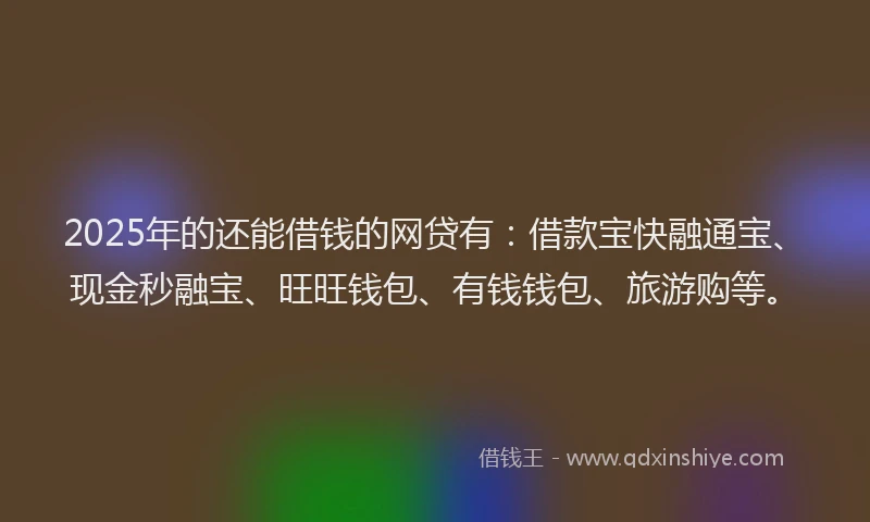 2025年的还能借钱的网贷有：借款宝快融通宝、现金秒融宝、旺旺钱包、有钱钱包、旅游购等。