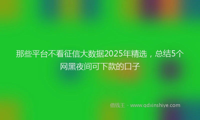 那些平台不看征信大数据2025年精选，总结5个网黑夜间可下款的口子