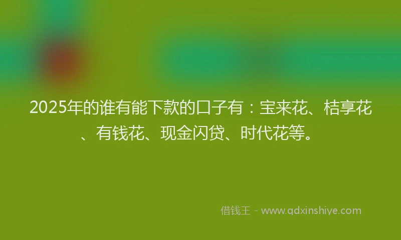 2025年的谁有能下款的口子有：宝来花、桔享花、有钱花、现金闪贷、时代花等。