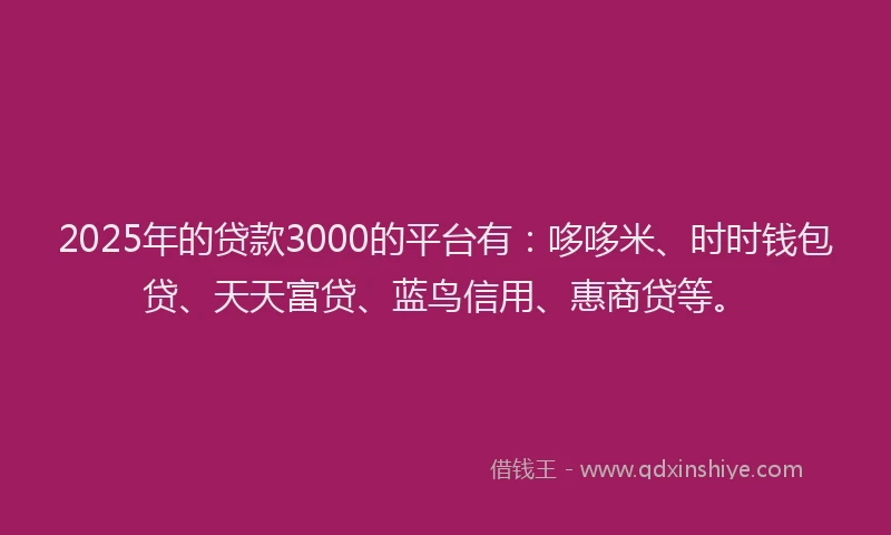 2025年的贷款3000的平台有：哆哆米、时时钱包贷、天天富贷、蓝鸟信用、惠商贷等。