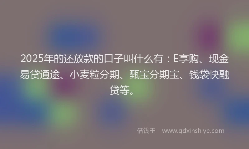 2025年的还放款的口子叫什么有：E享购、现金易贷通途、小麦粒分期、甄宝分期宝、钱袋快融贷等。