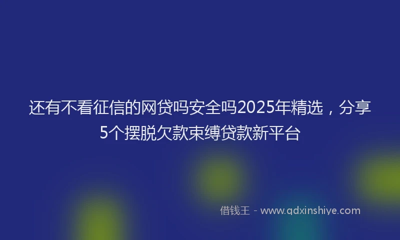 还有不看征信的网贷吗安全吗2025年精选，分享5个摆脱欠款束缚贷款新平台