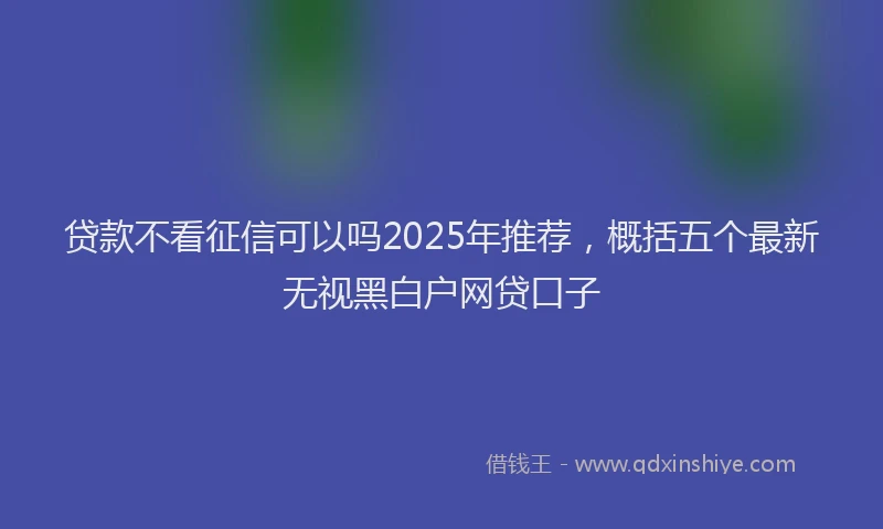 贷款不看征信可以吗2025年推荐，概括五个最新无视黑白户网贷口子