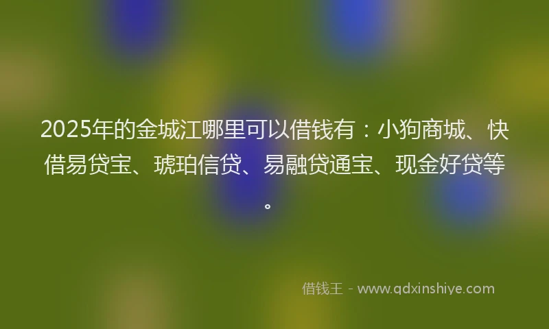 2025年的金城江哪里可以借钱有：小狗商城、快借易贷宝、琥珀信贷、易融贷通宝、现金好贷等。