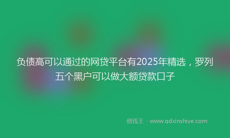 负债高可以通过的网贷平台有2025年精选，罗列五个黑户可以做大额贷款口子