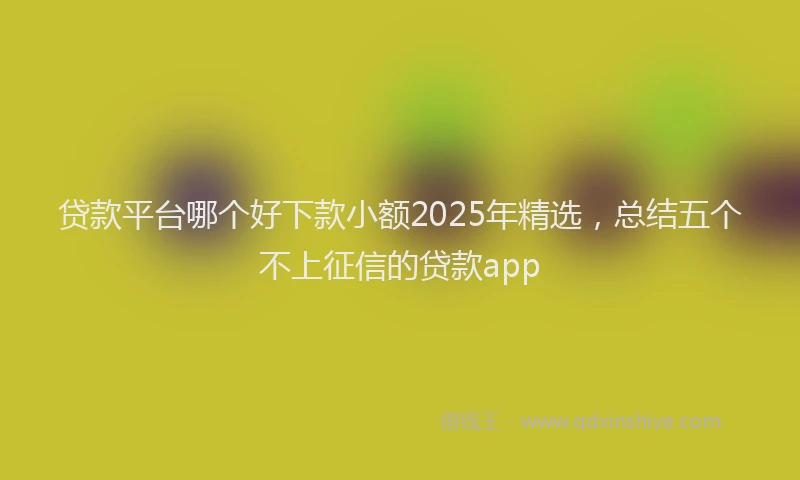 贷款平台哪个好下款小额2025年精选，总结五个不上征信的贷款app