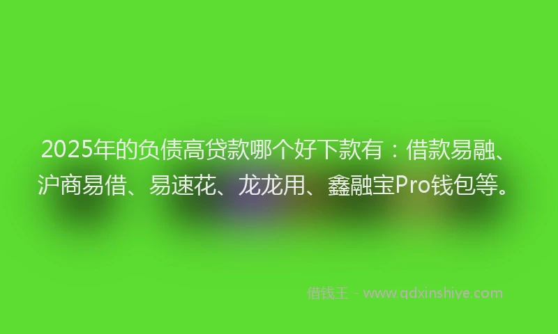 2025年的负债高贷款哪个好下款有：借款易融、沪商易借、易速花、龙龙用、鑫融宝Pro钱包等。