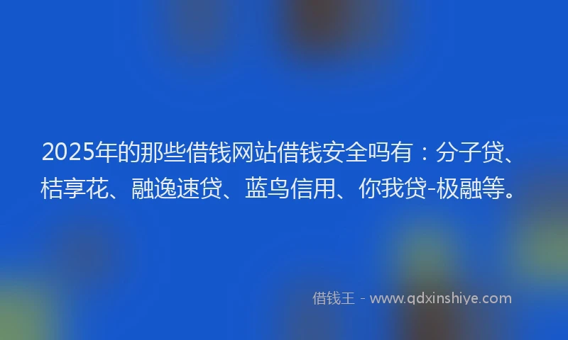 2025年的那些借钱网站借钱安全吗有：分子贷、桔享花、融逸速贷、蓝鸟信用、你我贷-极融等。
