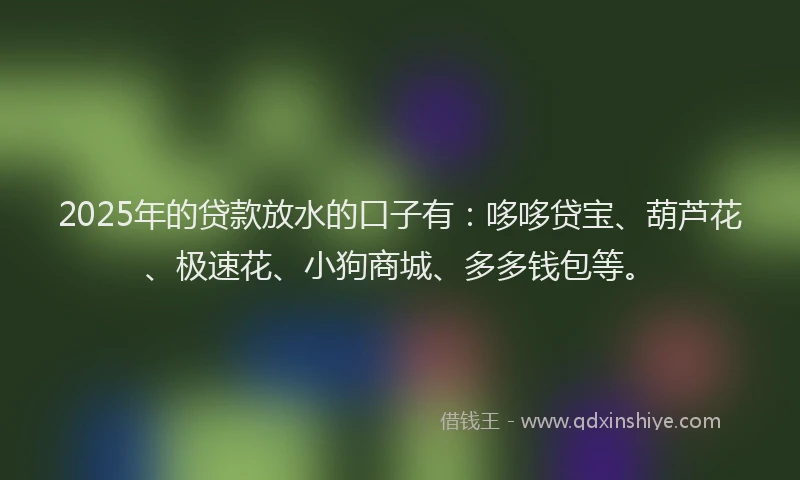 2025年的贷款放水的口子有：哆哆贷宝、葫芦花、极速花、小狗商城、多多钱包等。