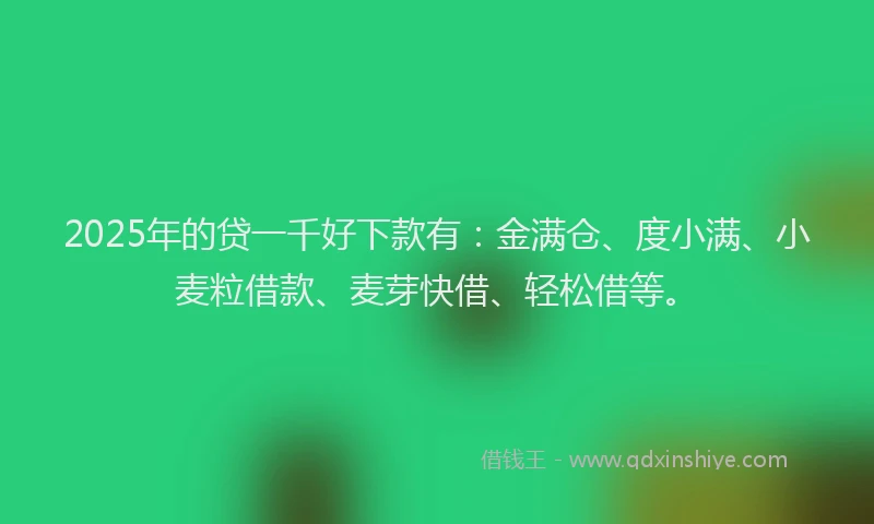 2025年的贷一千好下款有：金满仓、度小满、小麦粒借款、麦芽快借、轻松借等。