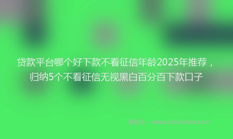 贷款平台哪个好下款不看征信年龄2025年推荐，归纳5个不看征信无视黑白百分百下款口子