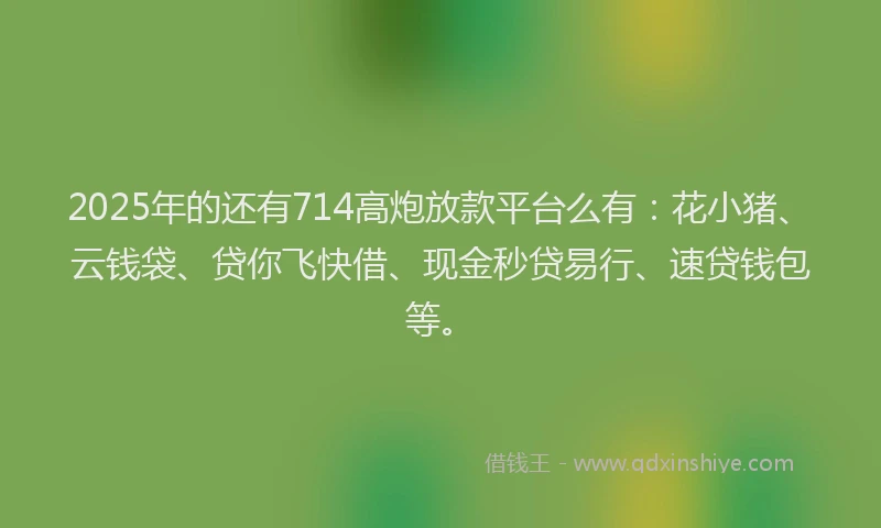2025年的还有714高炮放款平台么有：花小猪、云钱袋、贷你飞快借、现金秒贷易行、速贷钱包等。