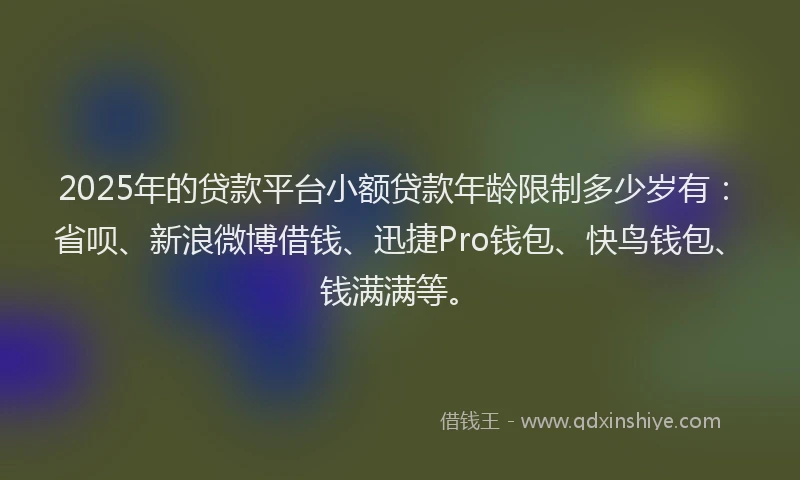 2025年的贷款平台小额贷款年龄限制多少岁有：省呗、新浪微博借钱、迅捷Pro钱包、快鸟钱包、钱满满等。