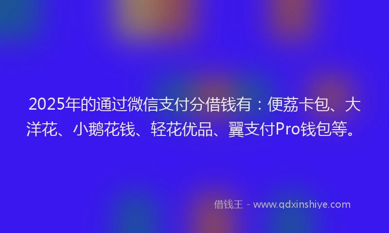 2025年的通过微信支付分借钱有：便荔卡包、大洋花、小鹅花钱、轻花优品、翼支付Pro钱包等。
