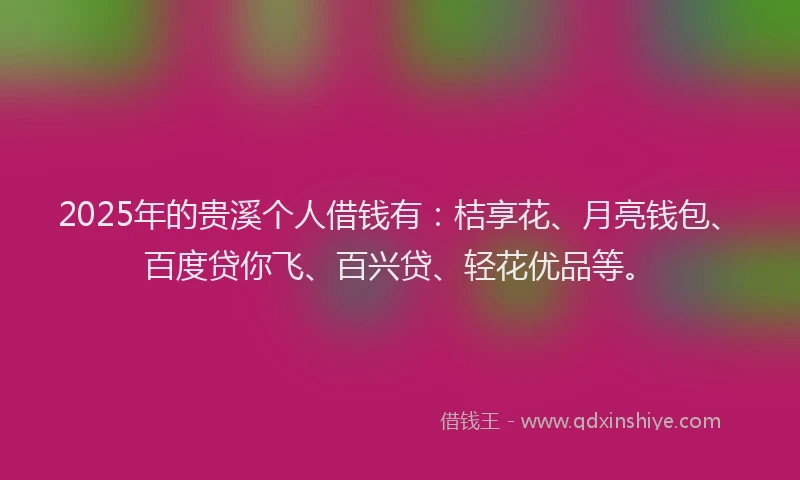 2025年的贵溪个人借钱有：桔享花、月亮钱包、百度贷你飞、百兴贷、轻花优品等。