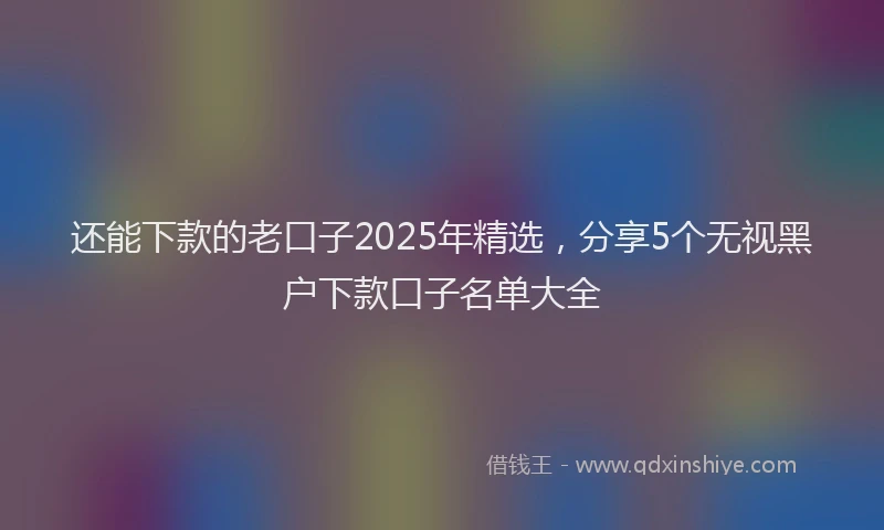 还能下款的老口子2025年精选，分享5个无视黑户下款口子名单大全