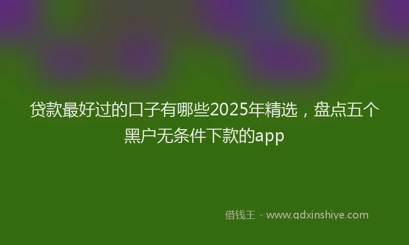 贷款最好过的口子有哪些2025年精选，盘点五个黑户无条件下款的app