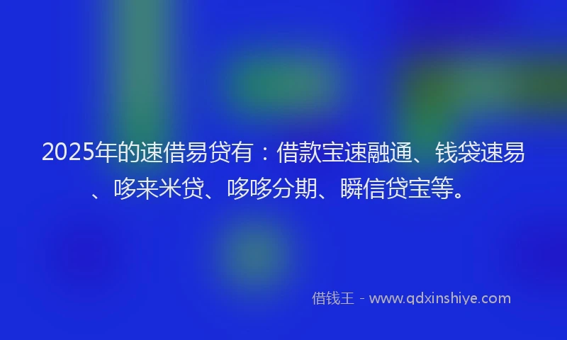 2025年的速借易贷有：借款宝速融通、钱袋速易、哆来米贷、哆哆分期、瞬信贷宝等。
