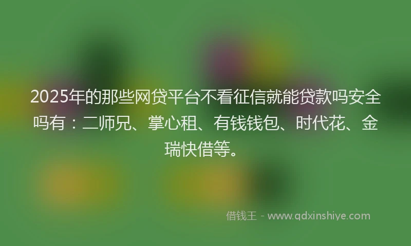 2025年的那些网贷平台不看征信就能贷款吗安全吗有：二师兄、掌心租、有钱钱包、时代花、金瑞快借等。