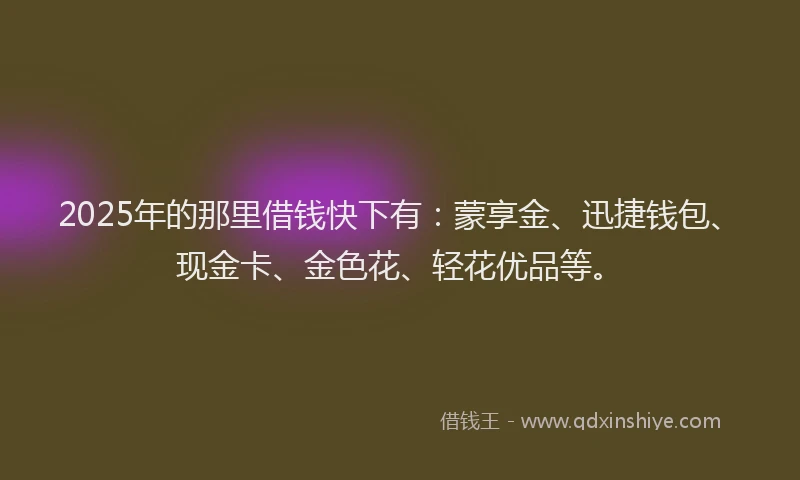 2025年的那里借钱快下有：蒙享金、迅捷钱包、现金卡、金色花、轻花优品等。