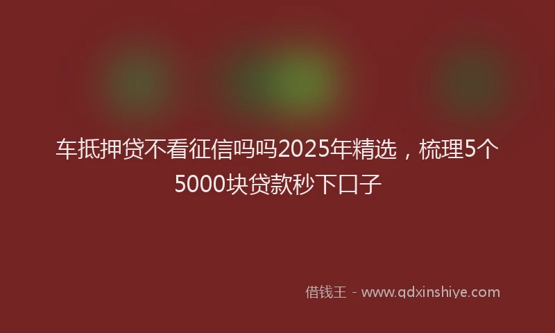 车抵押贷不看征信吗吗2025年精选，梳理5个5000块贷款秒下口子