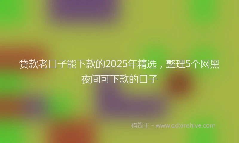 贷款老口子能下款的2025年精选，整理5个网黑夜间可下款的口子