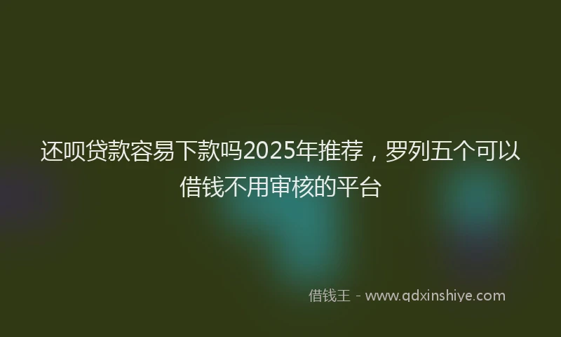 还呗贷款容易下款吗2025年推荐，罗列五个可以借钱不用审核的平台