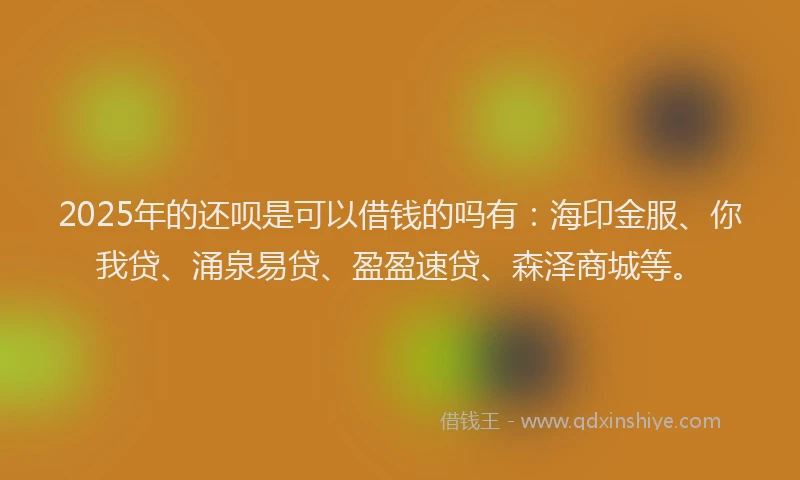 2025年的还呗是可以借钱的吗有：海印金服、你我贷、涌泉易贷、盈盈速贷、森泽商城等。
