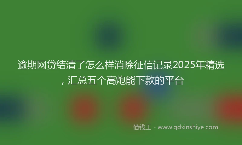 逾期网贷结清了怎么样消除征信记录2025年精选，汇总五个高炮能下款的平台