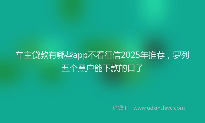 车主贷款有哪些app不看征信2025年推荐，罗列五个黑户能下款的口子