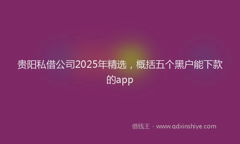 贵阳私借公司2025年精选，概括五个黑户能下款的app
