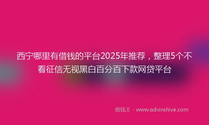 西宁哪里有借钱的平台2025年推荐，整理5个不看征信无视黑白百分百下款网贷平台