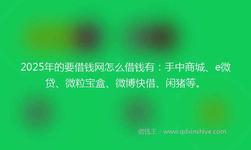 2025年的要借钱网怎么借钱有：手中商城、e微贷、微粒宝盒、微博快借、闲猪等。