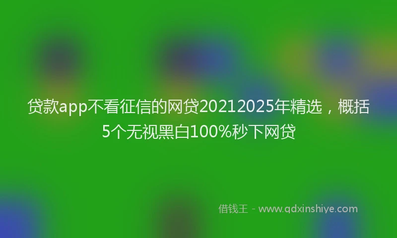贷款app不看征信的网贷20212025年精选，概括5个无视黑白100%秒下网贷